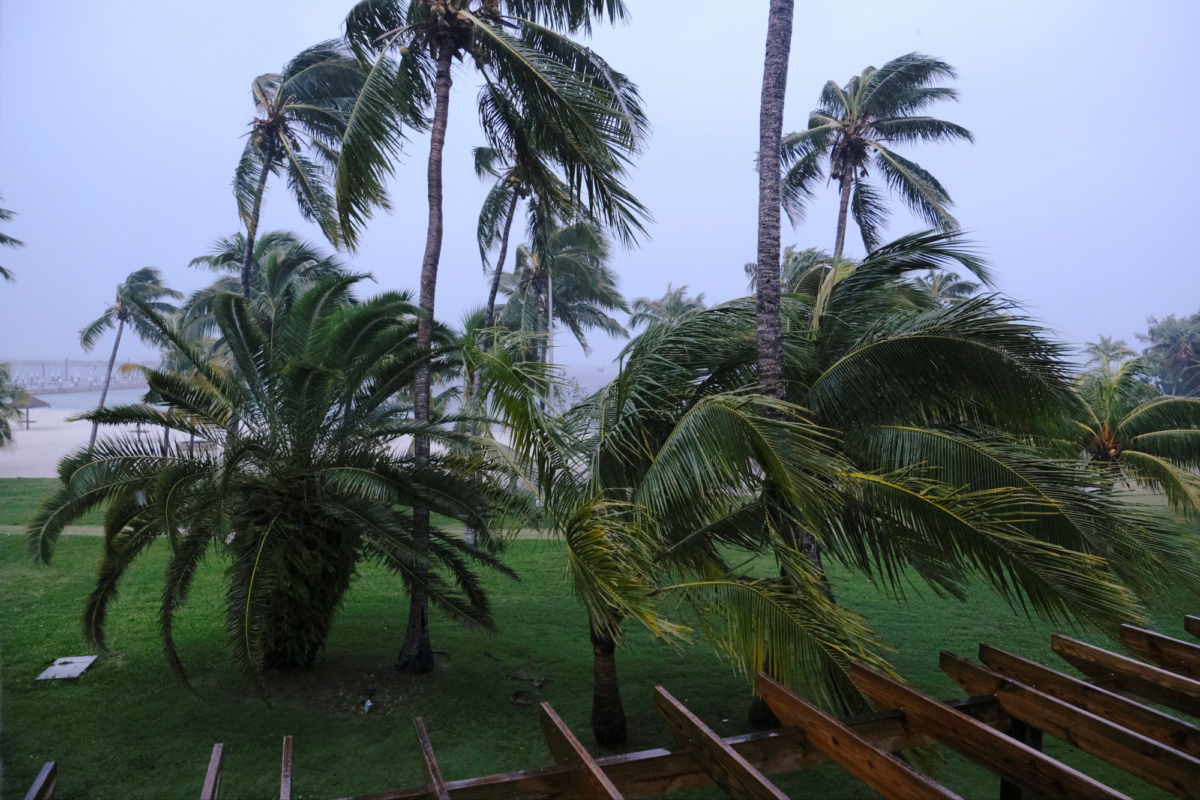 Palm trees blow in the wind during the arrival of Hurricane Dorian in Marsh Harbour, the Great Abaco Island, Bahamas, on Sept. 1, 2019. (Dante Carrer/Reuters)