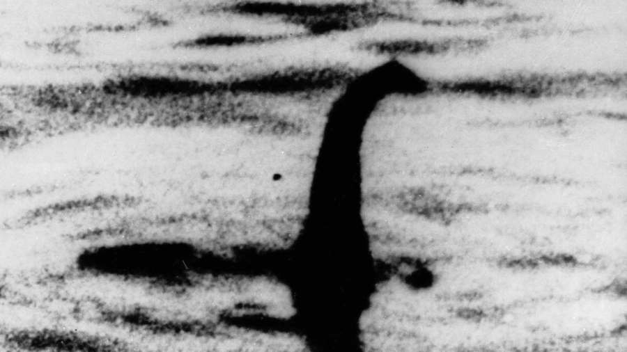 Loch Ness Monster Might Just Be a Giant Eel, Say Scientists