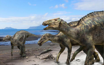 A New Dinosaur Has Been Unearthed, and It’s the First of Its Kind