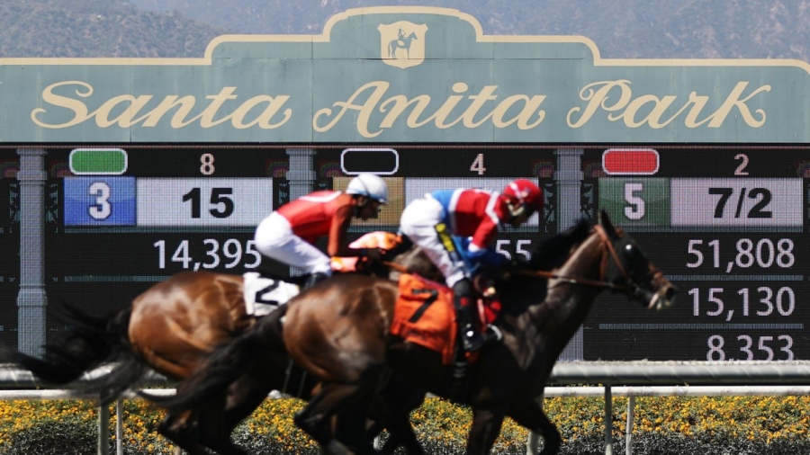 Another Horse Killed In a Race at Santa Anita—32 Now Dead Since December