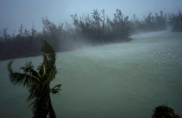 Strong winds from Hurricane Dorian blow the tops of trees and brush, seen from the balcony of a hotel in Freeport, Grand Bahama, Bahamas, on Sept. 2, 2019. (Ramon Espinosa/AP Photo)