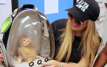 Tiffany Trump Adopts New Kitten From Rescue Shelter
