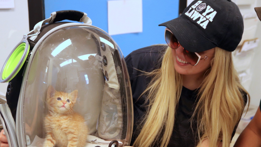 Tiffany Trump Adopts New Kitten From Rescue Shelter