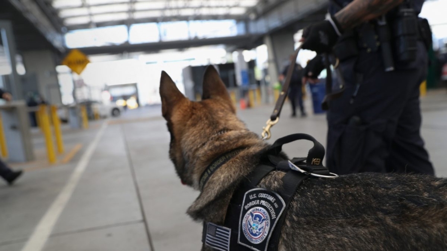 Watch Where This Police K9 Unit Finds the Suspect. Can You Guess Where He’s Hiding?