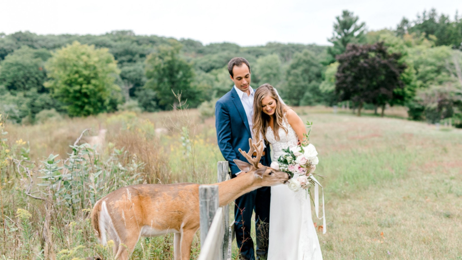 Wild Deer Photobombs Wedding, Eats Bride’s Bouquet