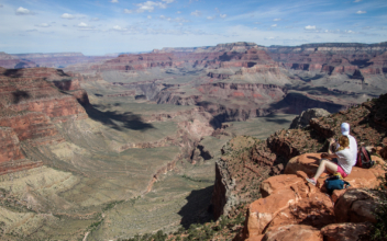 British Man Dies in Skydiving Accident at Grand Canyon Airport