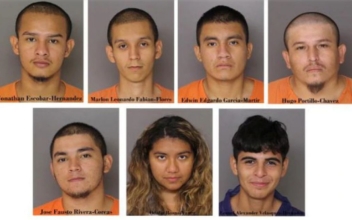 ICE: 6 MS-13 Gang Members, Illegal Immigrants Involved in Fatal Stabbing