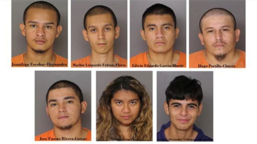 ICE: 6 MS-13 Gang Members, Illegal Immigrants Involved in Fatal Stabbing