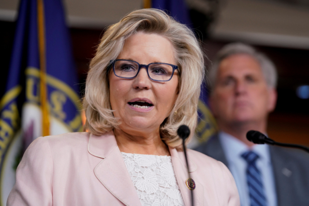 House Republican Conference Chair Liz Cheney speaks at a news conference on Capitol Hill in Washington, on May 8, 2019. (Aaron P. Bernstein/File Photo/Reuters)
