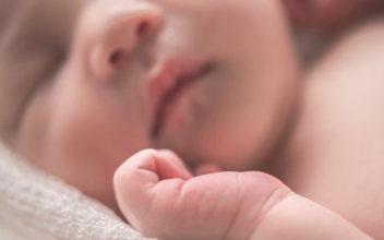 Birth Rate Falls in 42 States Over Past Decade, Net Growth Below 1 Million for First Time
