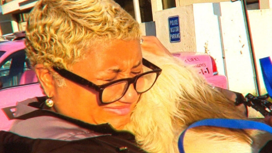 Massachusetts Woman Reunites With Lost Dog One Year After Explosions