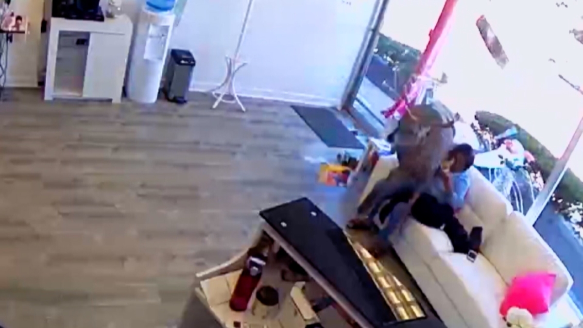 A buck leaps through the window into the lap of a woman at the Be.you.tiful Hair Salon in Long Island, N.Y., on Oct. 5, 2019. (Photo Courtesy of Jenisse Heredia)