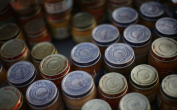 Baby Food Across the US Contains IQ-Lowering Metals: Study