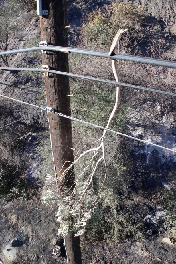 The Getty Fire is believed to have been sparked when a tree branch was blown into a power line. (Los Angeles Fire Department)