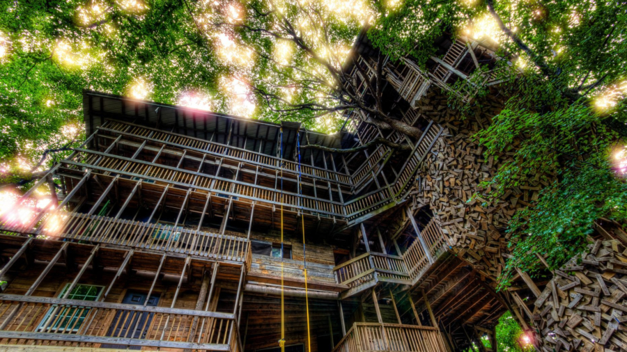 97-Foot Tall ‘Minister’s Treehouse’ in Tennessee Burns Down in Minutes