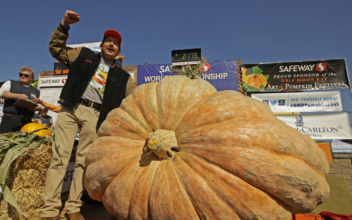 Giant Pumpkin Weighing 2,175 Pounds Sets California Record