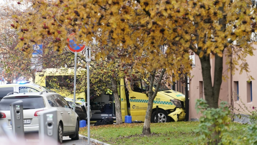 Man Drives Stolen Ambulance Into Family in Oslo, Injuring 2 Babies