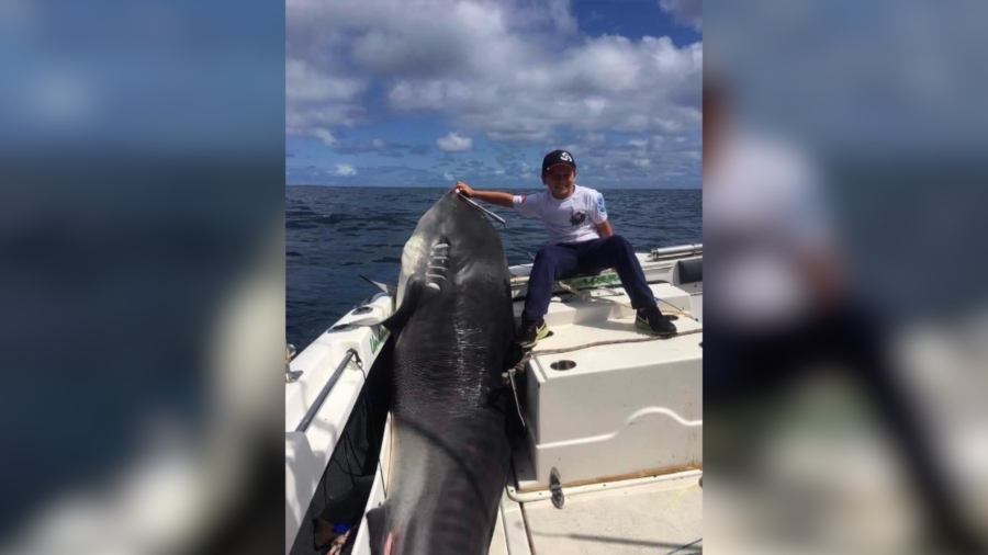 Boy, 8, Weighs 88 Pounds and Managed to Catch a 692-Pound Tiger Shark
