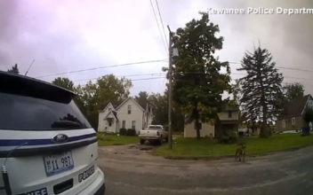 Police Release Body Cam Footage Showing Officer Shoot Pit Bull