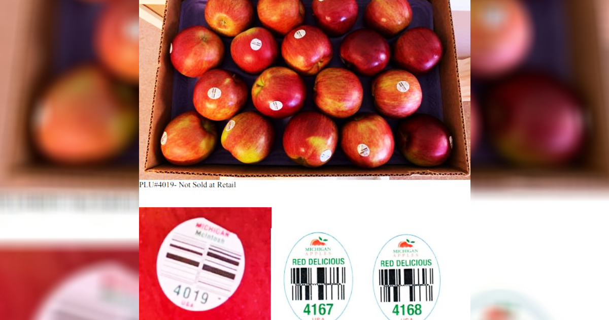 (North Bay Produce Inc.)