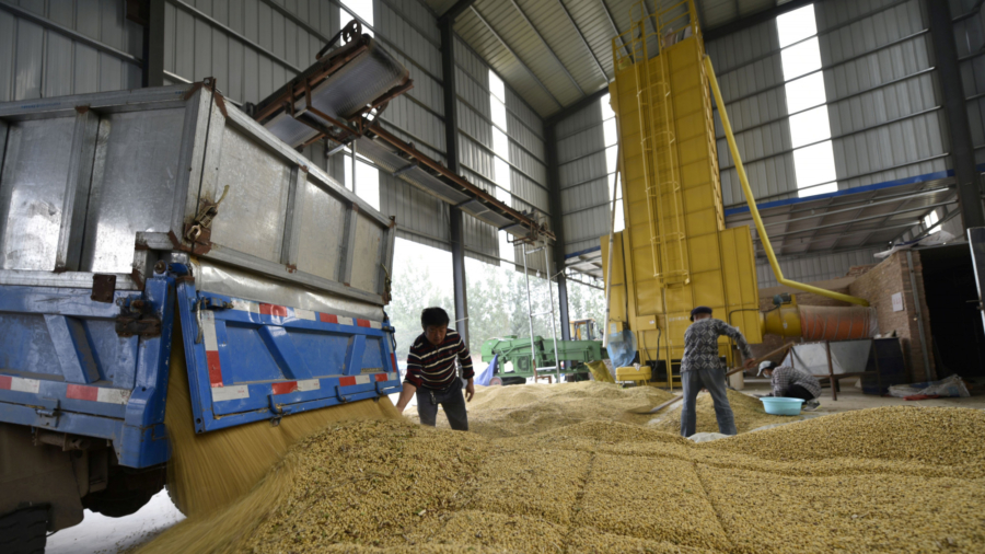 China in Focus (Dec. 10): China's Grain Imports Rise 30%