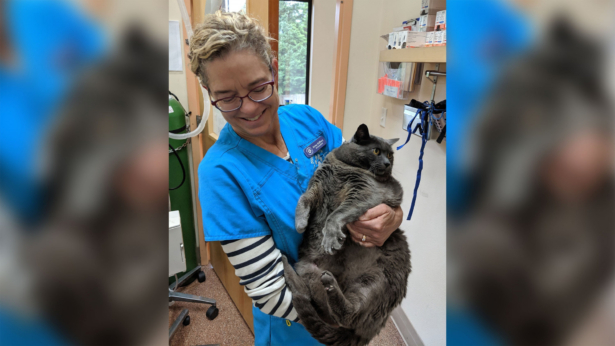 Fat cat cinderblock. (Courtesy of Brita Kiffney)