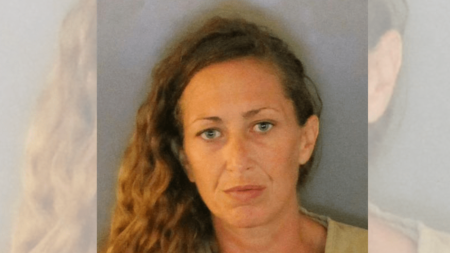 Florida Woman Accused of Shoplifting Climbs Into Big Lots Ceiling to Avoid Police