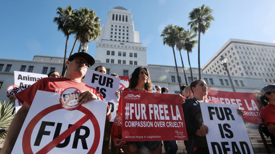 California to Become the First State to Ban the Sale and Manufacture of Fur
