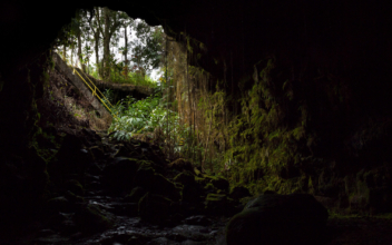 Hawaii Man Dies After Falling 22 Feet Down Lava Tube in His Backyard