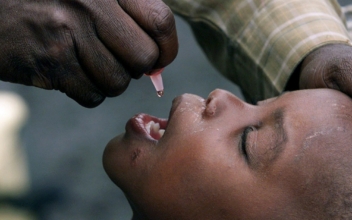 More Polio Cases Now Caused by Vaccine Than by Wild Virus