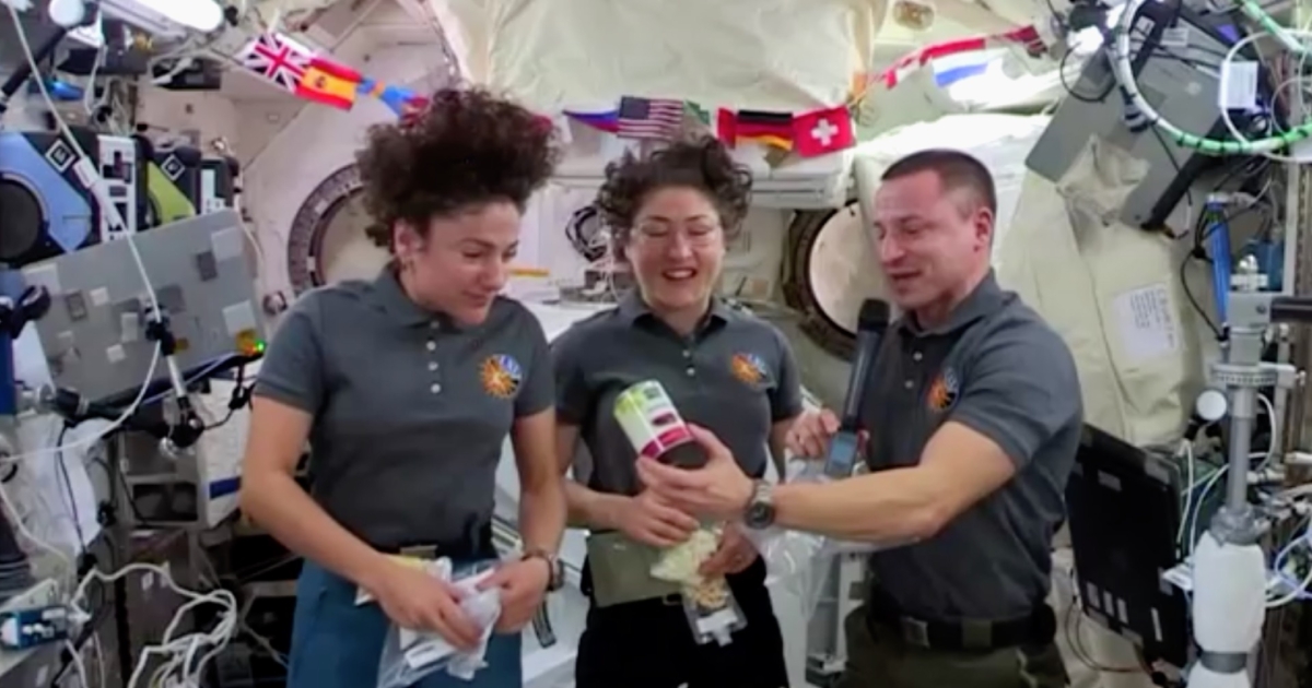 Turkey ‘In a Pouch’ Tops Thanksgiving Treats for US Astronauts in Space Station | NTD