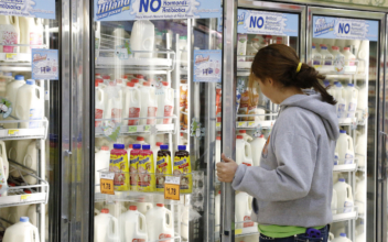 One of America’s Largest Milk Producers Files for Bankruptcy