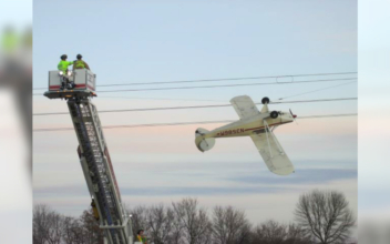 Pilot Who Crashed Plane Into Power Lines Is Rescued