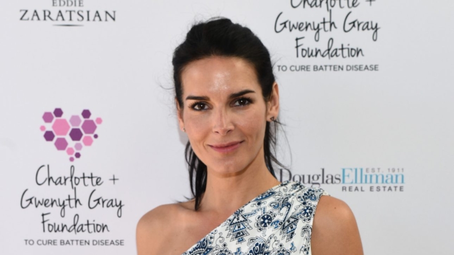 Actress Angie Harmon Got Engaged for Christmas