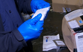 CBP at JFK Post Office Sees Surge in Narcotics