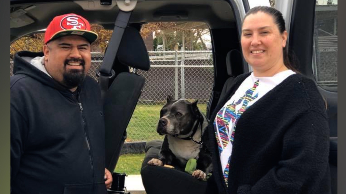 Seamus (C) just was adopted by his new family. (Courtesy of Fresno Bully Rescue)