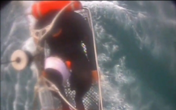 A Surfer Survived a Shark Attack Off the California Coast Thanks to a Quick-Thinking Friend