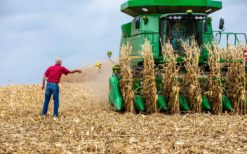 Iowa Farm Services Firm: Systems Offline Due to Cybersecurity Incident