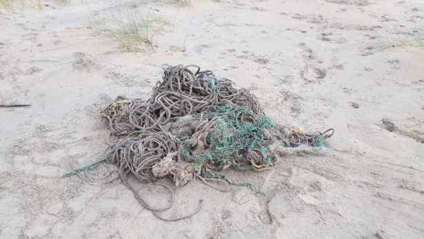 A necropsy found 220 pounds of debris in the whale's stomach, including sections of fishing nets,on Dec.2,2019. (Courtesy Dan Parry)