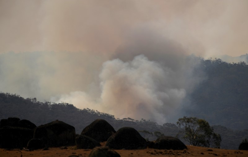 Australian PM Proposes High-Powered Inquiry Into Wildfires Response