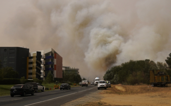 Bushfires Near Australia’s Canberra Airport Force Nearby Suburbs to Evacuate