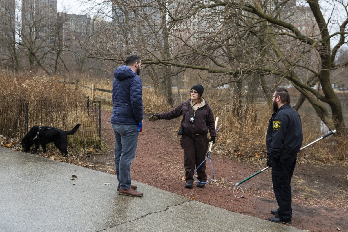 Chicago Animal Care Coyote 2