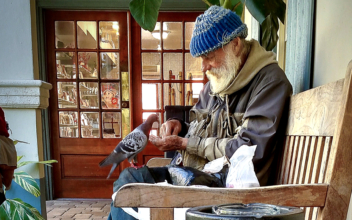 A Homeless Veteran With No Known Family Was Treated to a Burial With Full Honors in Florida