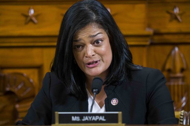 Rep. Pramila Jayapal (D-WA) has expressed her support for Bernie Sanders presidential candidacy at a campaign rally in Des Moines, Iowa, on Jan. 19, 2020. (Doug Mills-Pool/The New York Times/Getty Images)