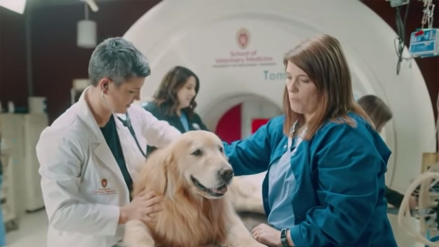 Dog Lover Funds $6 Million Super Bowl Ad for the Vet School That Saved His Pet’s Life