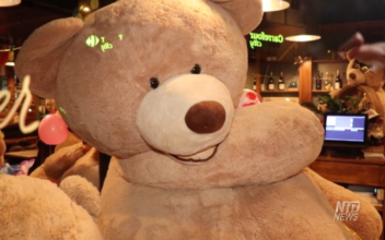 Teddy Bears Take Over Paris