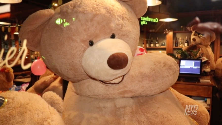 Bears Replace Tourists in Paris Hotel