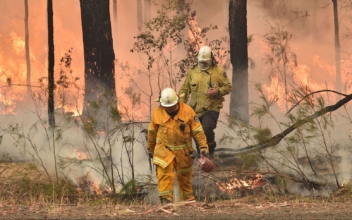 More Than 100 US Firefighters Gave up Holidays at Home to Tackle Australian Bushfires