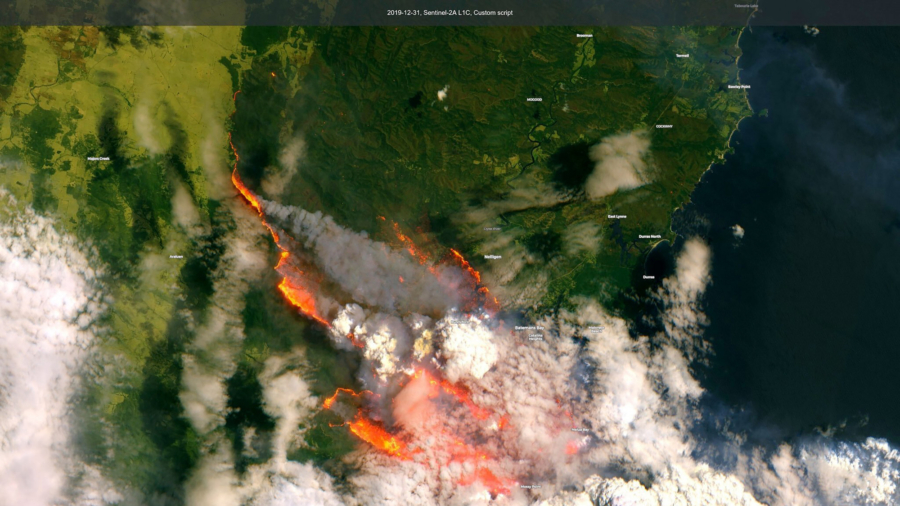 Australia’s Bush Fire Smoke Will Travel Around the World, NASA Says