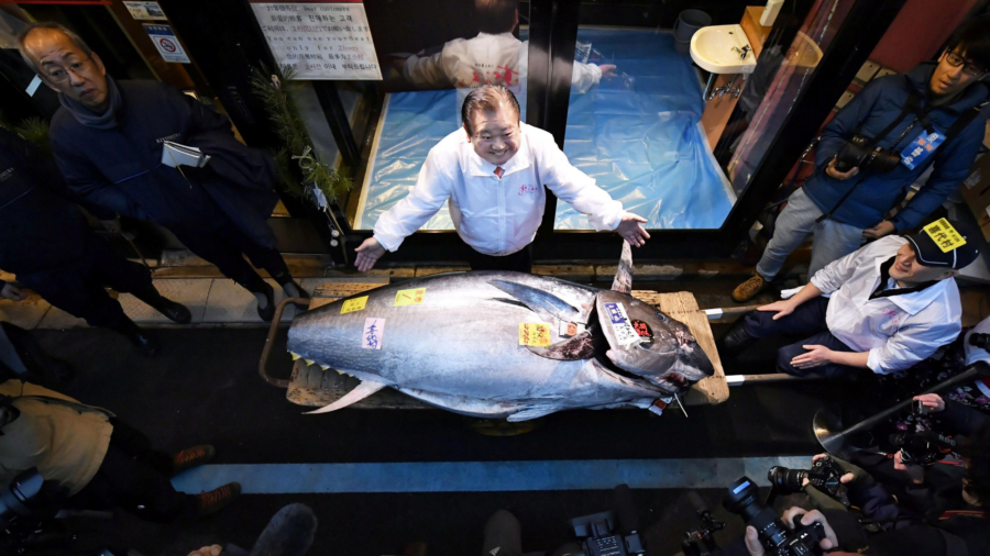 Tuna Sells for $1.8 Million in First Tokyo Auction of 2020, Second Highest Ever